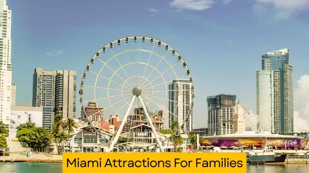 Miami Attractions For Families