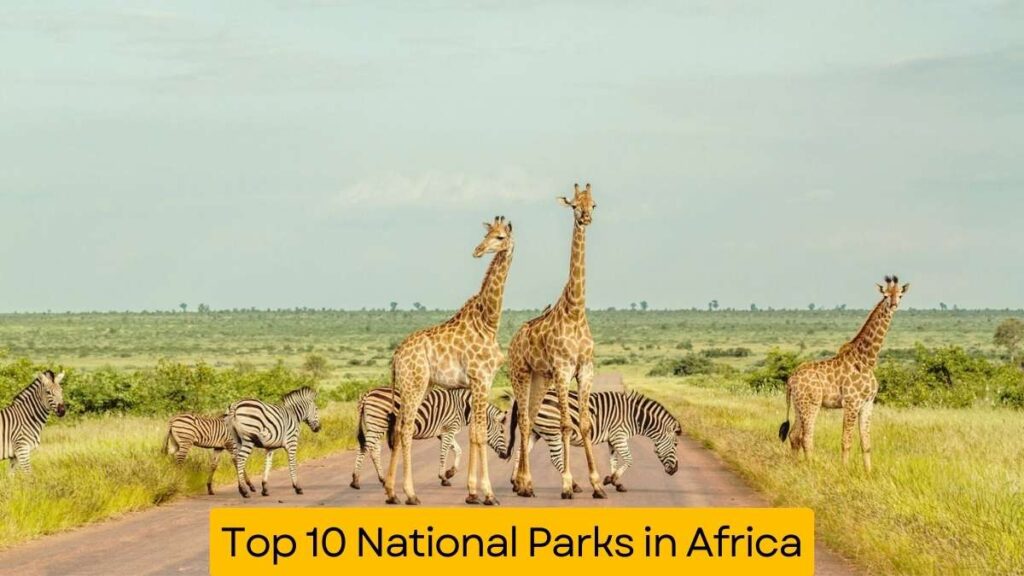 Top 10 National Parks in Africa