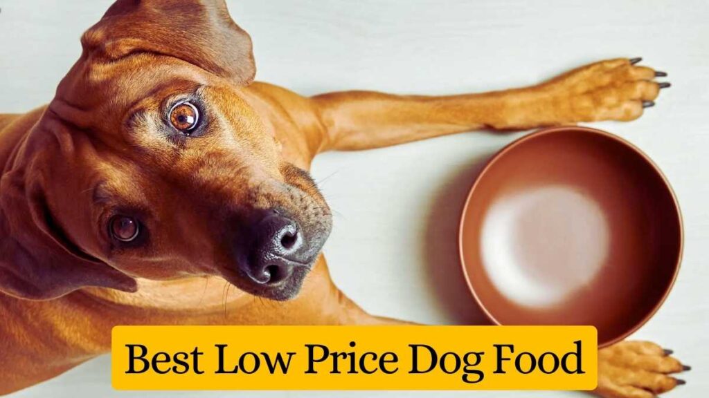 Best Low Price Dog Food