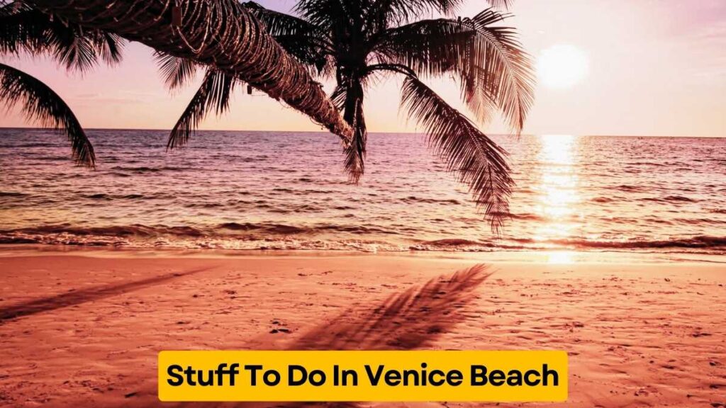 Stuff To Do In Venice Beach