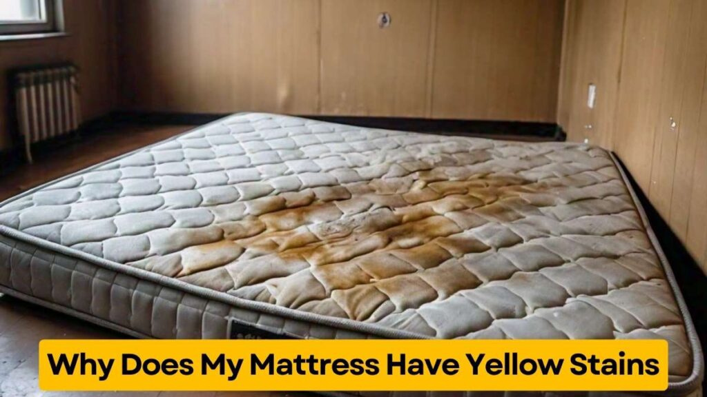 Why Does My Mattress Have Yellow Stains