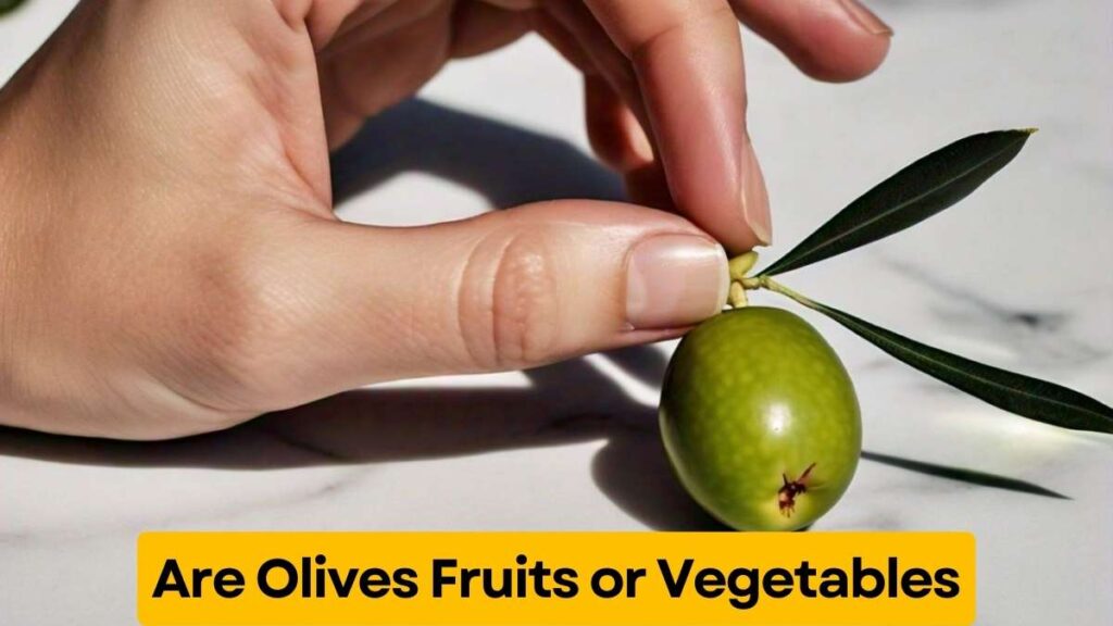 Are Olives Fruits or Vegetables